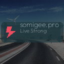somigee.pro
